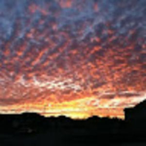 Meet your Posher, Connie